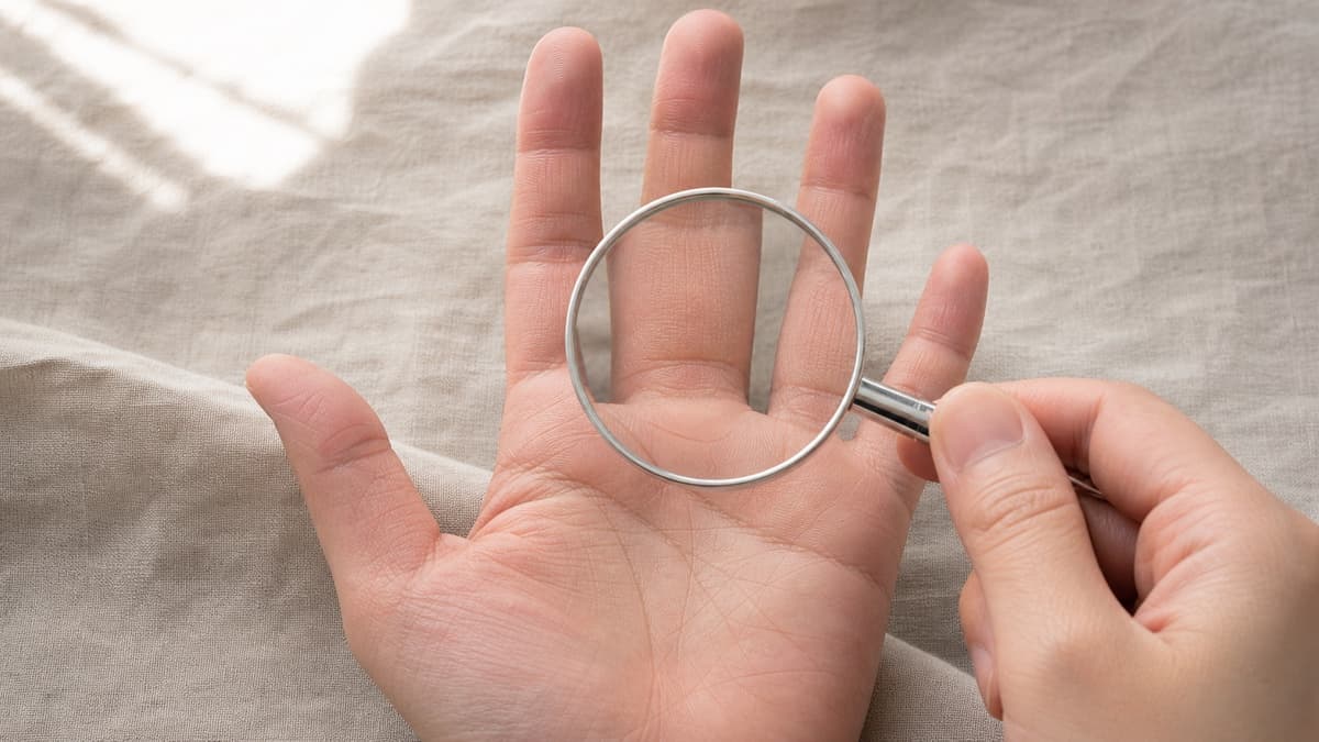自然光の下で中指の付け根の下にある浅い弧を観察している手のひら