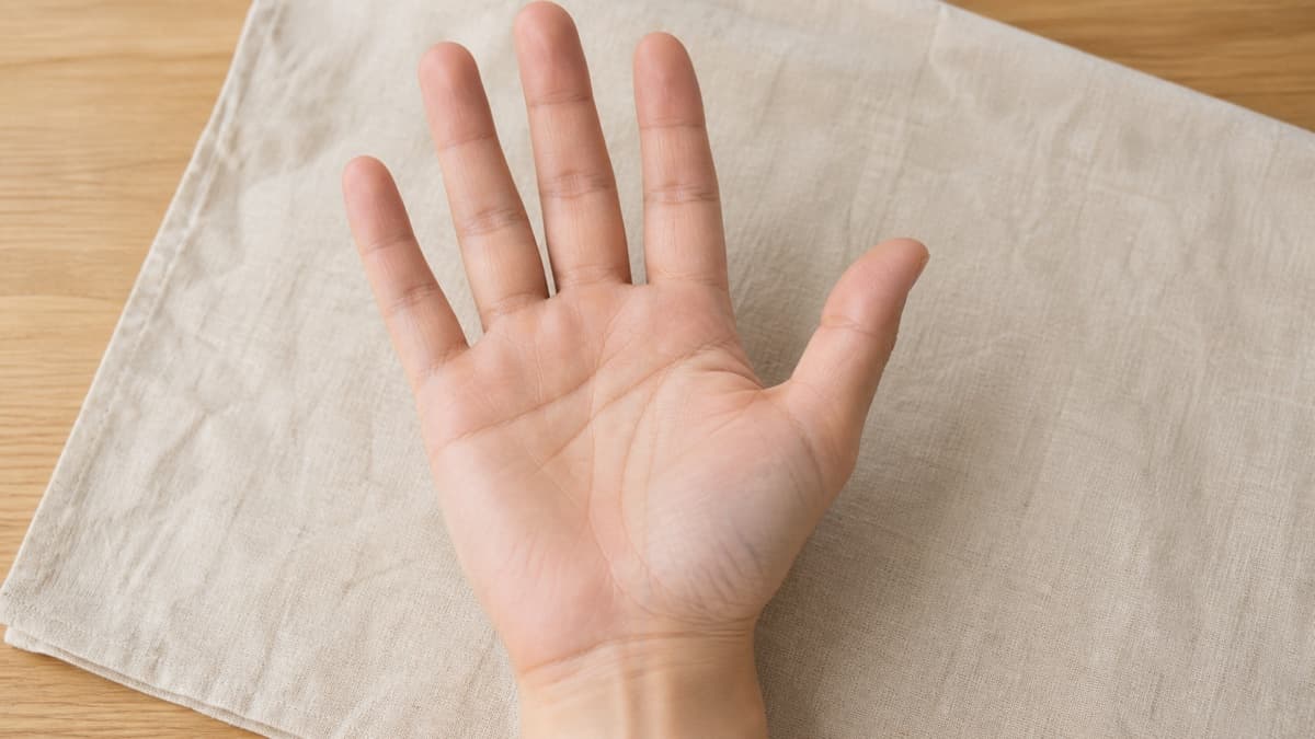 自然光の下で生命線とその内側に並ぶもう一本の弧を見比べている様子