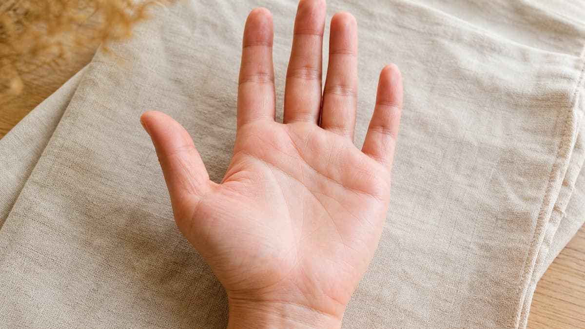 自然光の下で手のひらの主要線から二方向へ分かれる細い枝を観察している様子